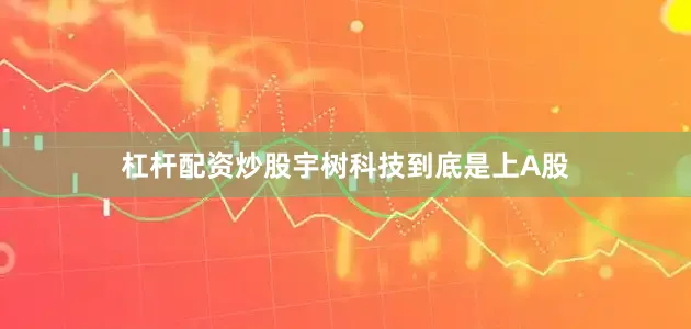杠杆配资炒股　　宇树科技到底是上A股